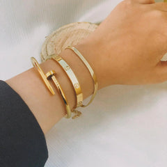 Cartier Nail and love bangle with Snake chain bracelet - Ronak e Mehfil