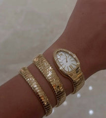 Snake watch - Ronak e Mehfil